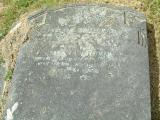 image of grave number 165976